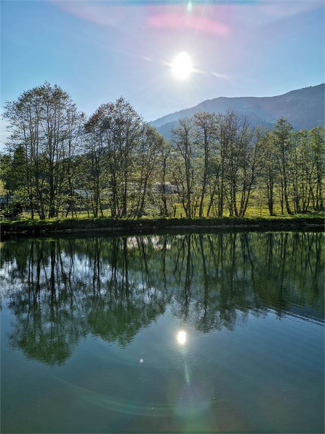 Etang de l'infernet - A. Spani