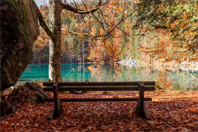 Lac Vert en automne - Arnaud Lesueur