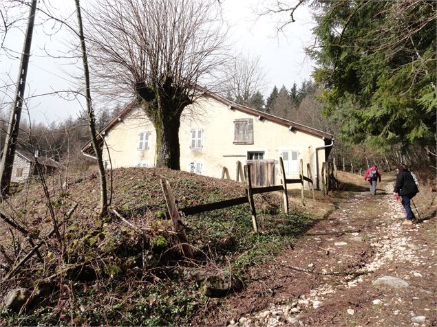 sentier botanique - Les défricheurs