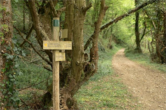Circuit pédestre : Les bois de Béligneux - 3CM