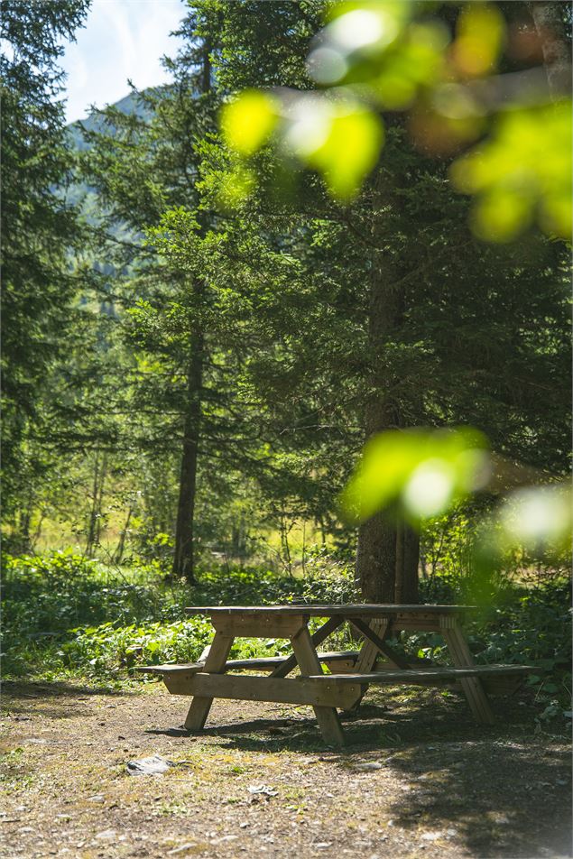 Tables de pic-nic le long du sentier - Elisabeth Gayard