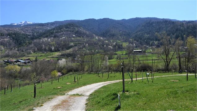 verger de la Balastière - mnpc