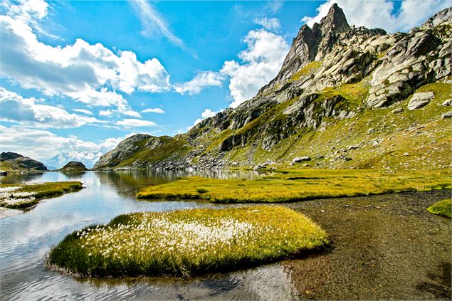 Circuit de randonnée : Lac du Petit_Sainte-Foy-Tarentaise - Sainte Foy Tourisme