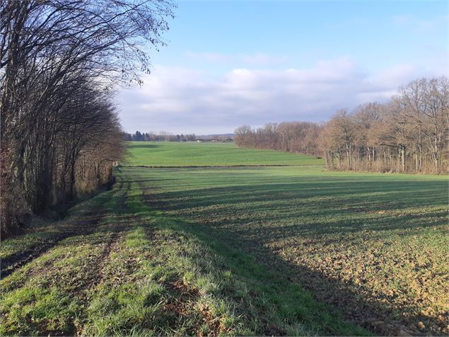 Beaupont - scalland