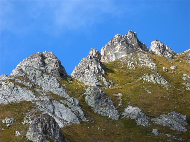 aiguille grive