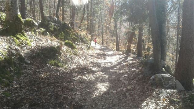 Sentier la Dame Blanche - BM