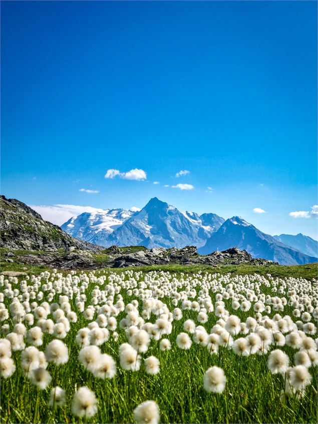 Circuit de randonnée : le Lac du Retour_Sainte-Foy-Tarentaise - Sainte Foy Tourisme