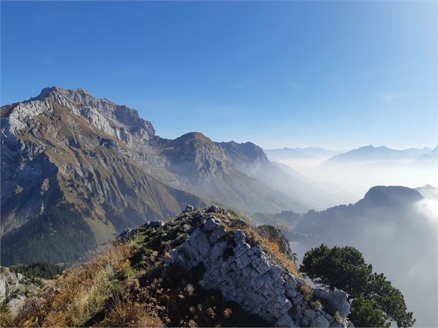 Vue sur l'itinéraire - LA SELLE