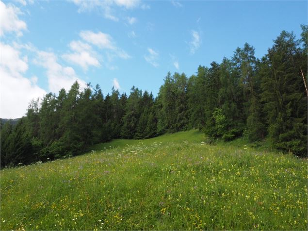 Bisse des Ravines - Raphaël Surmont