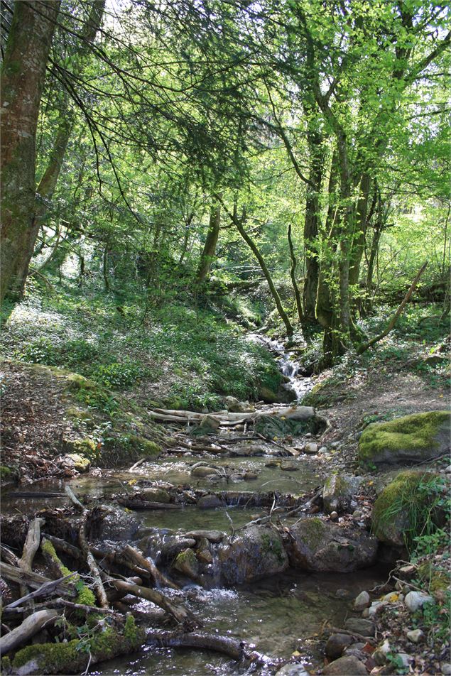 Boucle de Vernathiau - Ville de La Motte-Servolex