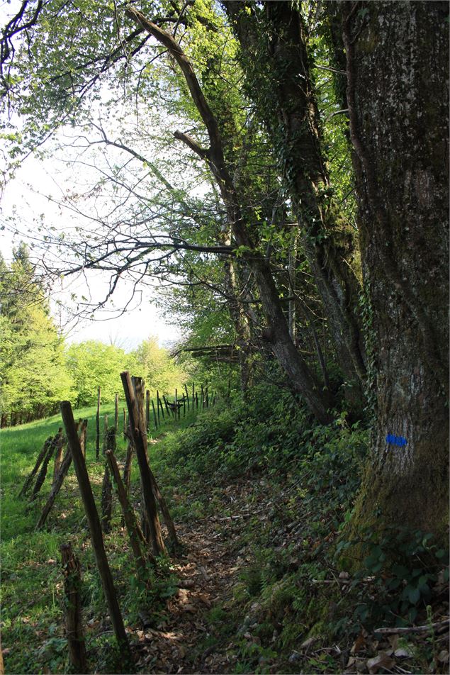 Boucle de Vernathiau - Ville de La Motte-Servolex