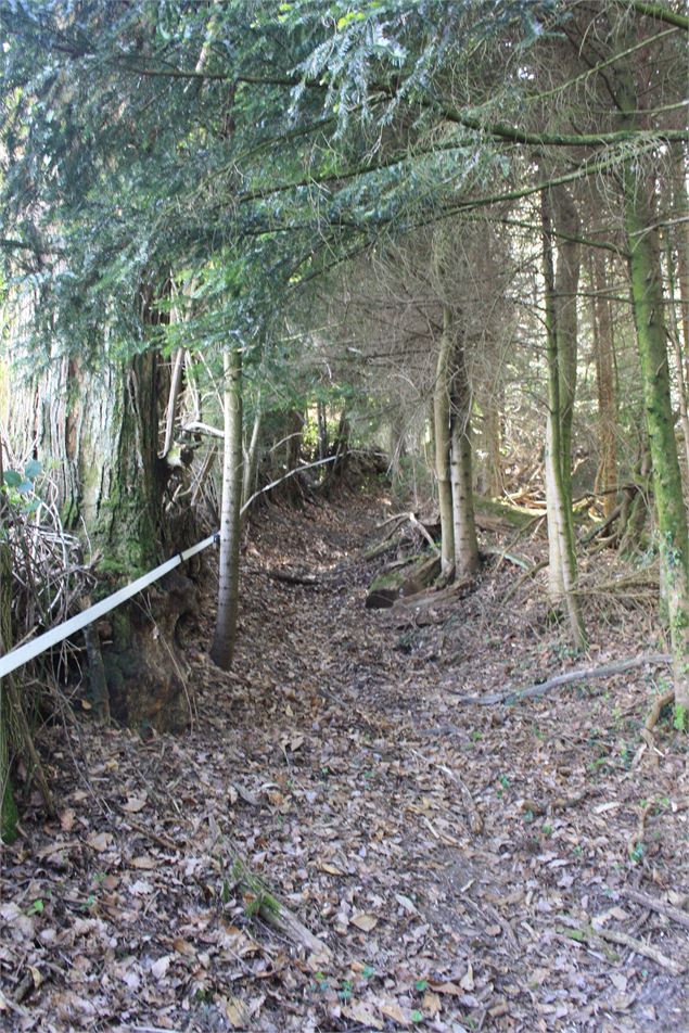 Boucle de Vernathiau - Ville de La Motte-Servolex