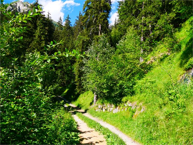 Chemin - G. Kiener