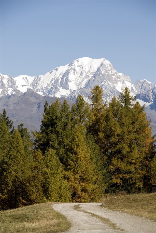 Panorama sur le Mont Blanc - Philippe Gal