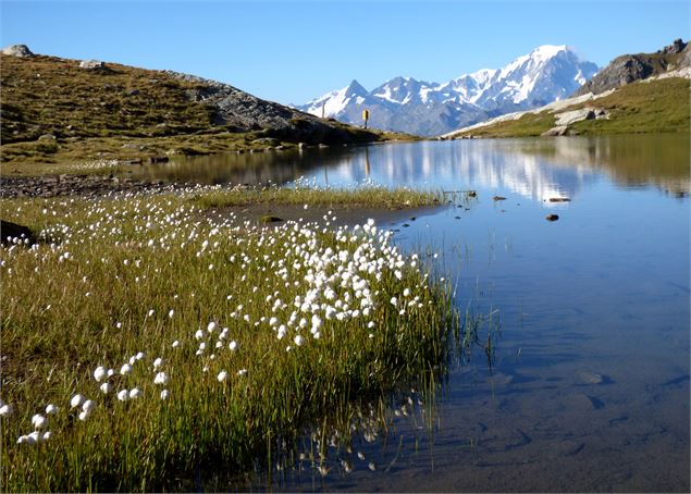 Lac des Moutons - Grand Col - mnpc