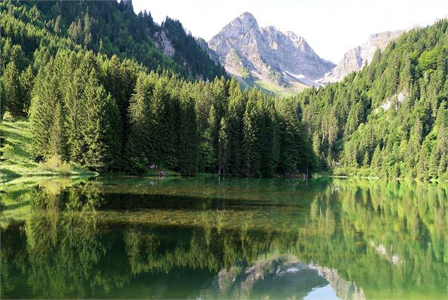 Lac des Plagnes - CD74