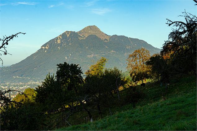 Le Môle depuis la forêt de Châtillon-sur-Cluses - Haut-Giffre Tourisme