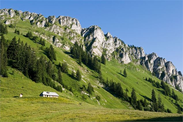 le Mont-Ouzon depuis le col Plan Champ - Yvan Tisseyre / OT Vallée d'Aulps