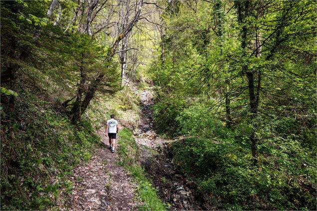 sentier randonneur alex - Office de tourisme Thônes Coeur des Vallées