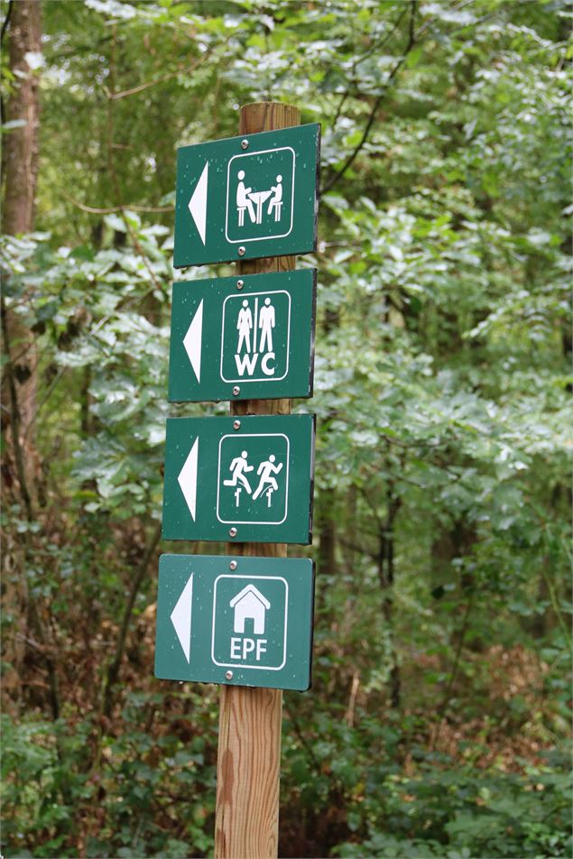 Seillon Chevrerie_©AP OT (5) - foret-seillon_credit GT OTBBA (35)