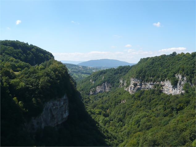 Point de vue - Charles Albert - Alter Alpa Tourisme
