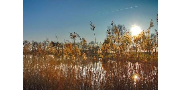 Etang des Pilles