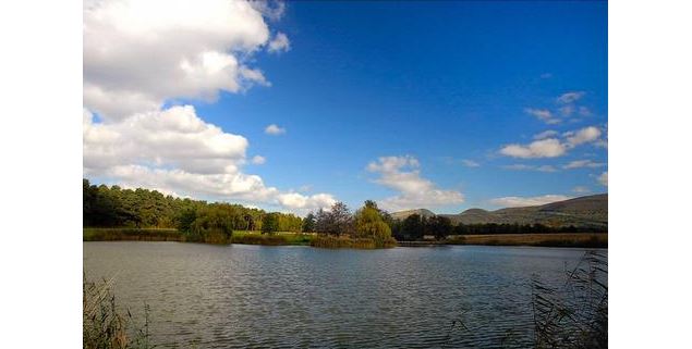 Etang des Pilles
