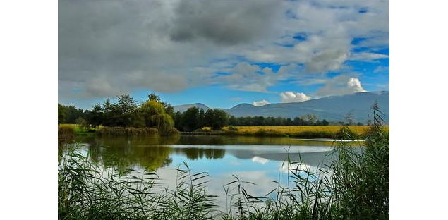 Etang des Pilles