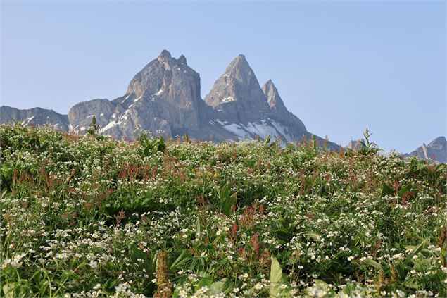 Vue sur les Aiguilles d'Arves depuis le Chalet d'la Croë - Office de Tourisme de Saint Jean d'Arves