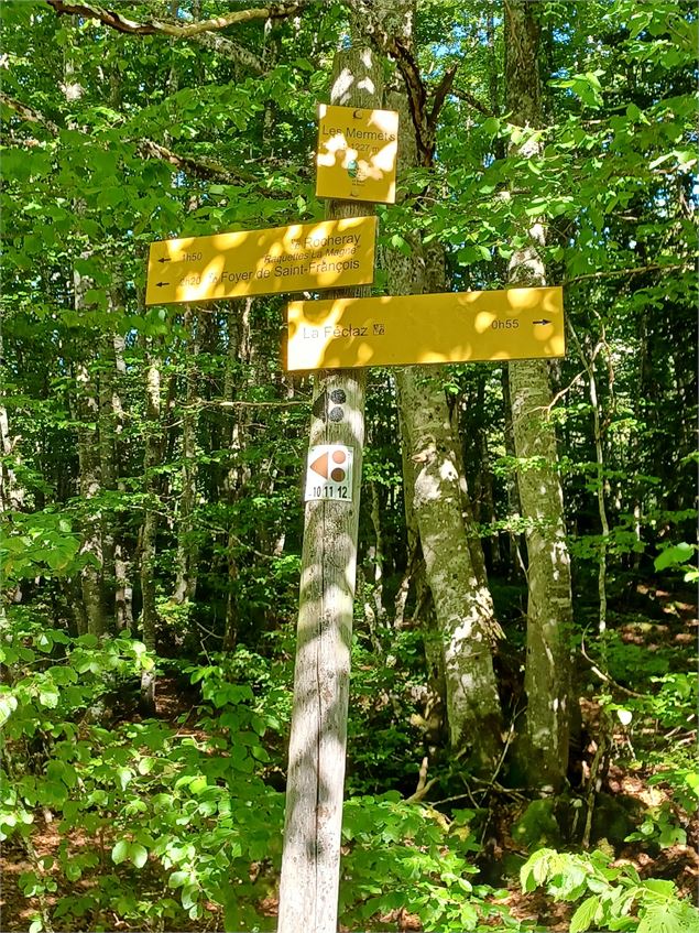 Randonnée au Col de Plainpalais depuis la Féclaz_La Féclaz - Flora Dutordoir