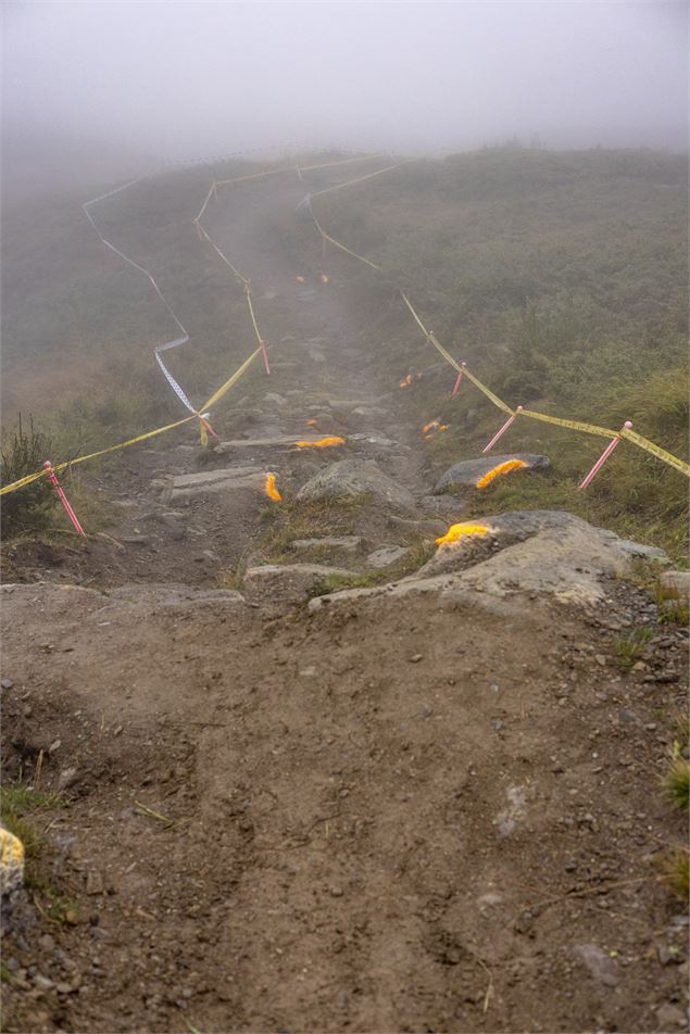 Tire's fire - Bike Park