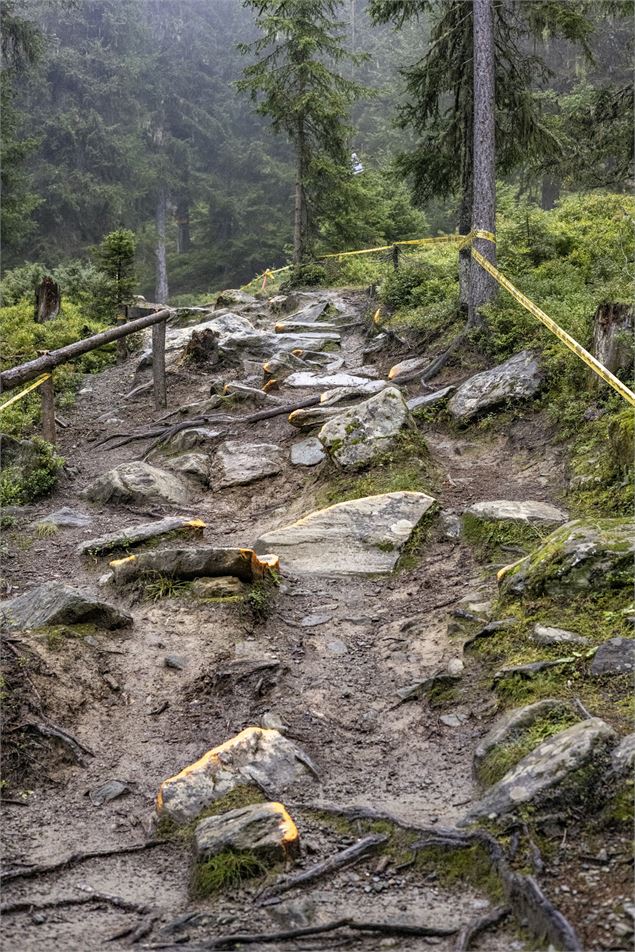 Tire's fire - Bike Park