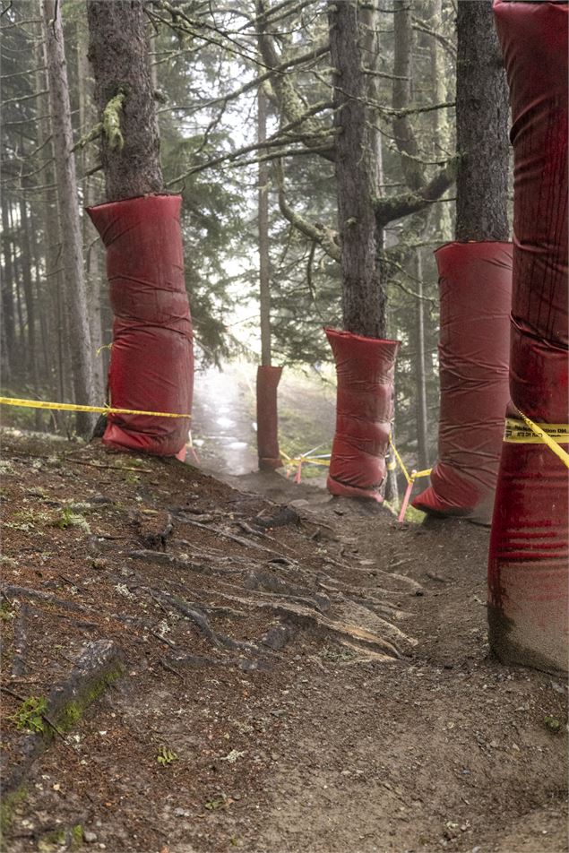 Tire's fire - Bike Park