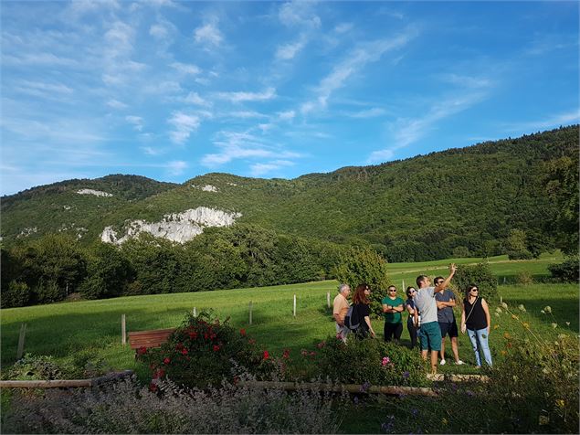 Profitez du jardin de la Maison et partez