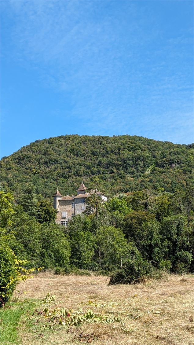 Parcours VTT 72 Rouge - Des Gorges de l'Oignin aux Gorges de l'Ain - Espace FFC Ain Forestière - Jea
