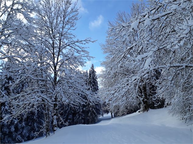 En allant sur le Niaizet - OTpaysdegex