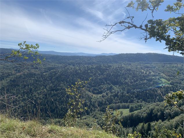 Vue du belvédère du Haut Crêt - Maxime Michel