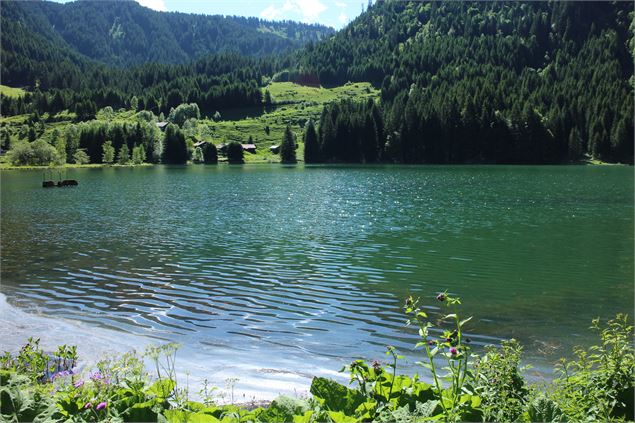 Lac des Plagnes - Pays d'art et d'histoire/2CVA