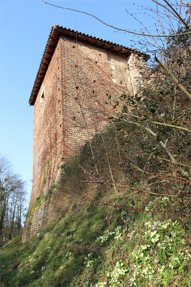 Tour - M. Zeilfelder