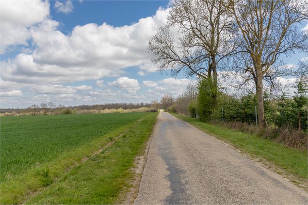 Chemin de campagne de St Marcel à Birieux - M. Zeilfelder