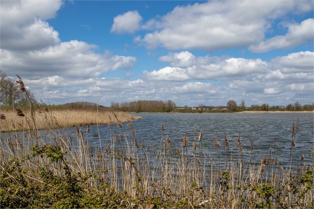 Etang du Grand Birieux - M. Zeilfelder