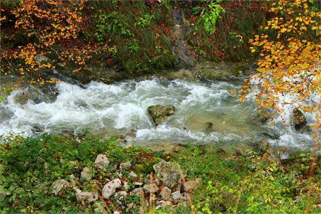 La rivière de la Valserine - ©tasdecailloux