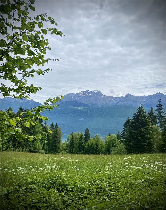Marche nordique #1 Lathuile - Les balcons du lac_Lathuile