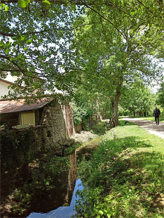 Arrivée sur le parc paysager en longeant le ruisseau - K.Tranchina