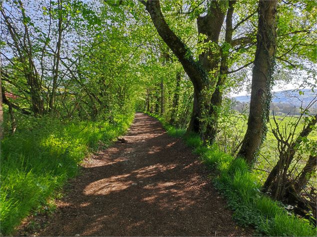 Beau chemin - ©OTpaysdegex