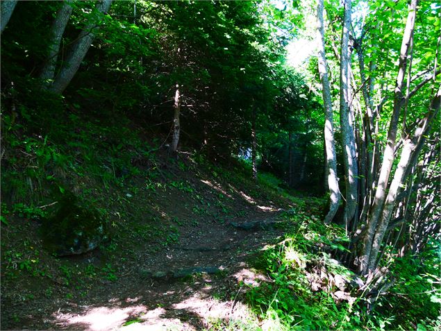 Passage forestier - OT Champagny