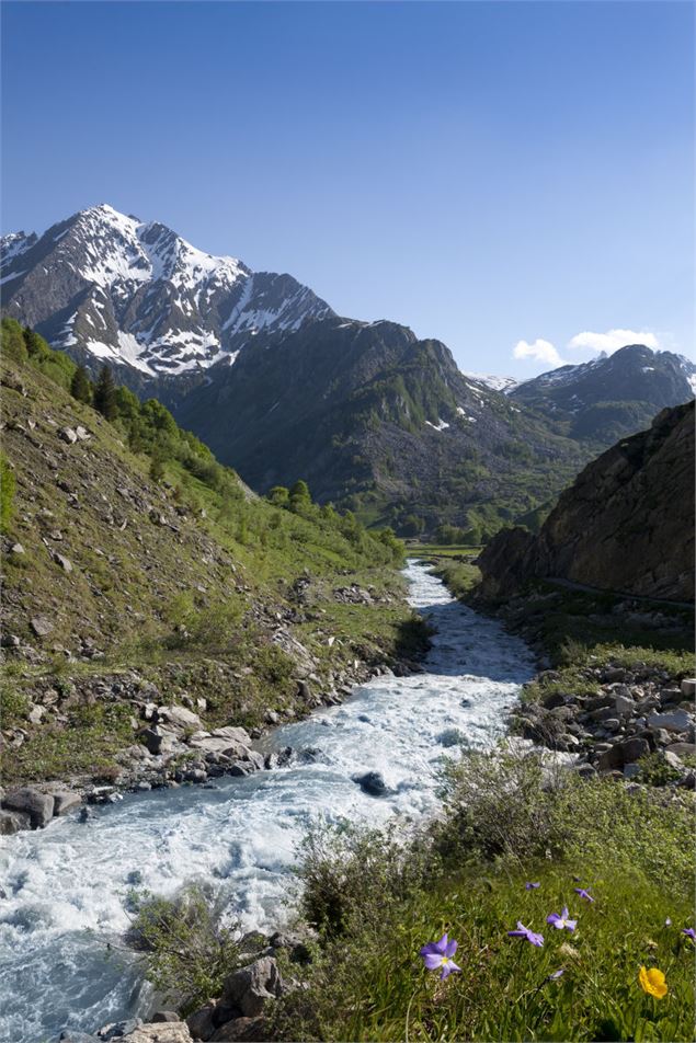 Ruisseau - Antonin