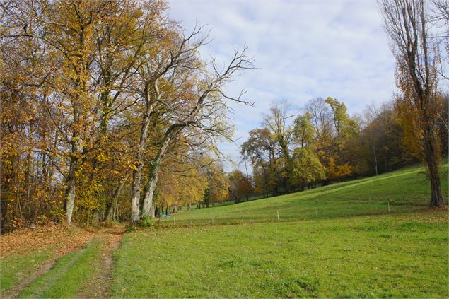 sentier Tour des hameaux - Grand Lac