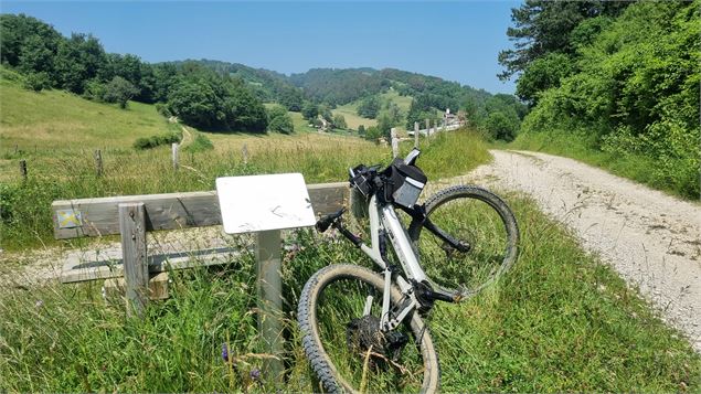 Liaison VTT (L5) Ile Chambod - Corveissiat par Gd Corent, la route des crêtes - scalland