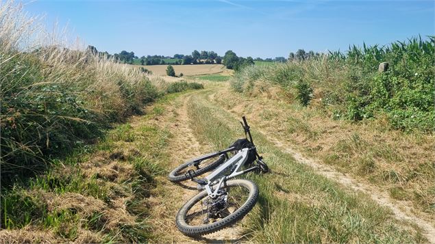 Circuit VTT-VTC n°13 (rouge) - Les chemins de St Jean - scalland